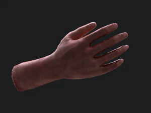 brazo cortado Modelo 3D