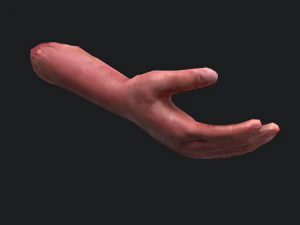 Severed arm 3D Model