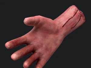 Severed arm 3D Model