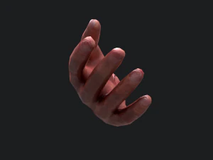 Severed arm 3D Model
