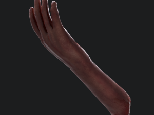 Severed arm 3D Модель