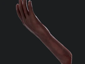 Severed arm 3D Model