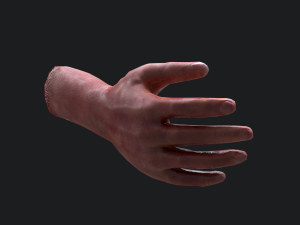 Severed arm 3D Модель