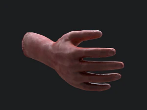 Severed arm 3D Model