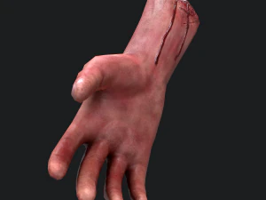 Severed arm 3D Model
