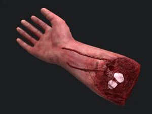 Severed arm 3D Model