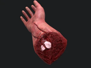 Severed arm 3D Model