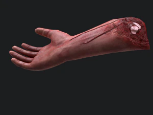 Severed arm 3D Model