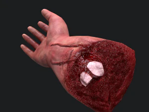 Severed arm 3D Model