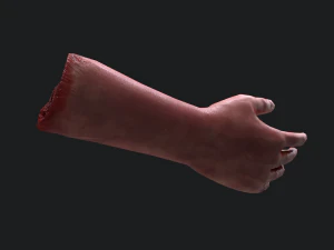Severed arm 3D Model