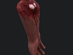 Severed arm 3D Model