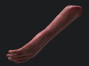 Severed arm 3D Модель