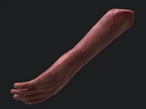 Severed arm 3D Model