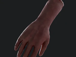 Severed arm 3D Model