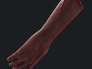 Severed arm 3D Модель