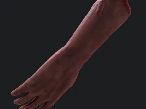 Severed arm 3D Model