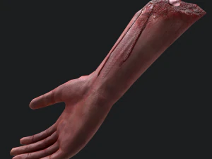 Severed arm 3D Model