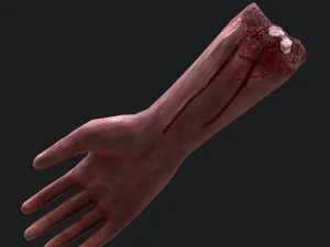 Severed arm 3D Model