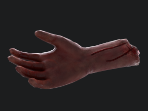 Severed arm 3D Модель