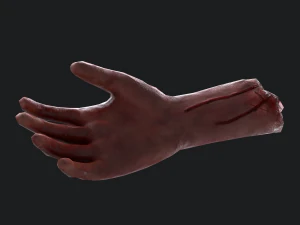 Severed arm 3D Model