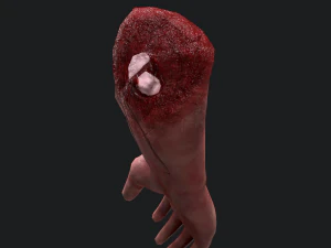 Severed arm 3D Model
