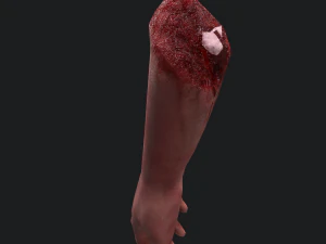 Severed arm 3D Model