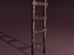 old dirty ladder 3D Models