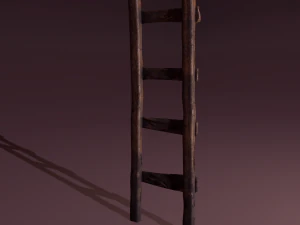 Old dirty ladder 3D Model