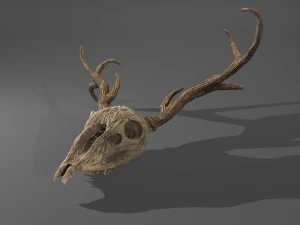 Stag skull 3D Model