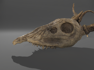 Stag skull Modelo 3D