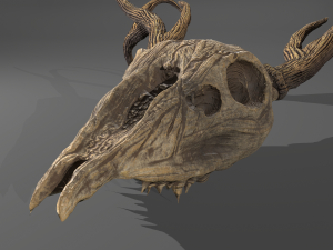 Stag skull Modelo 3D