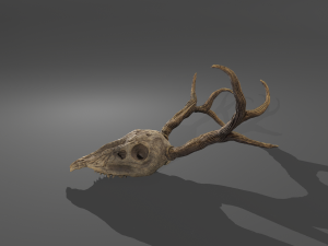 Stag skull Modelo 3D