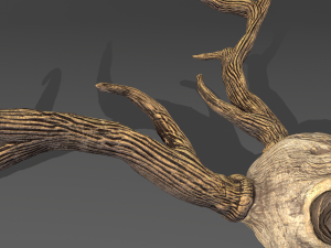 Stag skull Modelo 3D