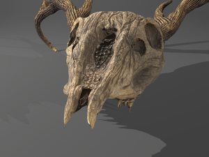 Stag skull Modelo 3D