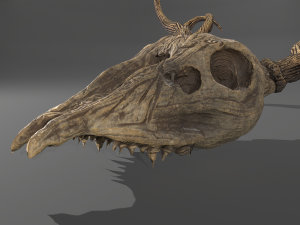 Stag skull Modelo 3D