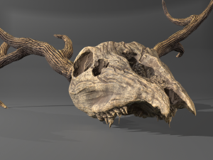 Stag skull Modelo 3D