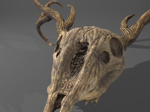 Stag skull Modelo 3D