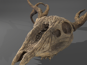Stag skull Modelo 3D