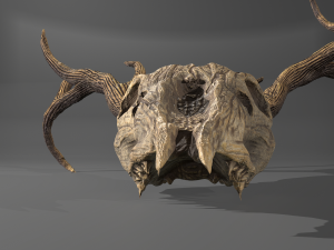 Stag skull Modelo 3D