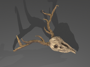 Stag skull Modelo 3D