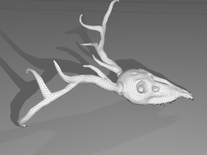 Stag skull Modelo 3D
