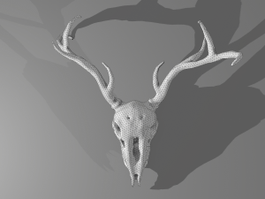 Stag skull Modelo 3D