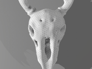 Stag skull Modelo 3D