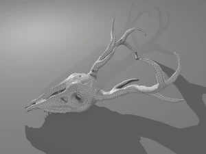 cr&aacute;neo de ciervo Modelo 3D