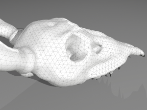 Stag skull Modelo 3D