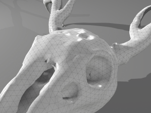 Stag skull Modelo 3D