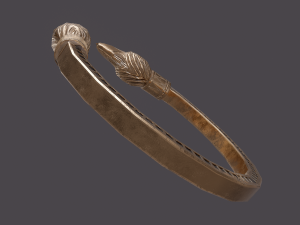 Golden eagle bracelet 3Dモデル