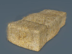 건초 베일 3D 모델