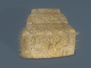 hay bale 3D Model