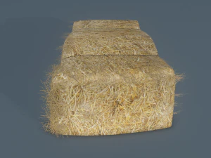 hay bale 3D Model